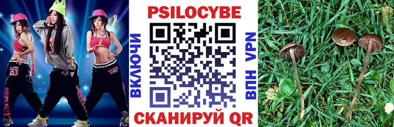 наркотики Пыталово Псилоцибиновые грибы ЛСД